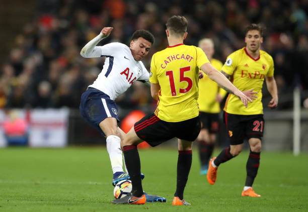 特的文化背 特的文化背