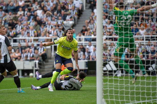 不轻言放弃 不轻言放弃